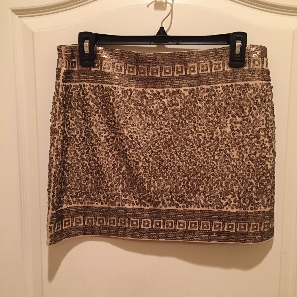 Express Beaded Sequin Skirt 